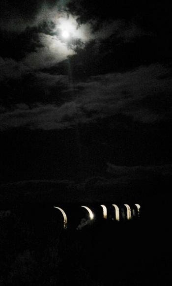 GATA: DILLUNS DE PLUJA (23,6 litres) I SUPER LLUNA