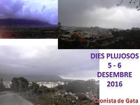 LA PLUJA SEGUIX DEIXANT-NOS A GATA RUIXATS BONS I MULLANT LA TERRA (37 litres en 48 hores)
