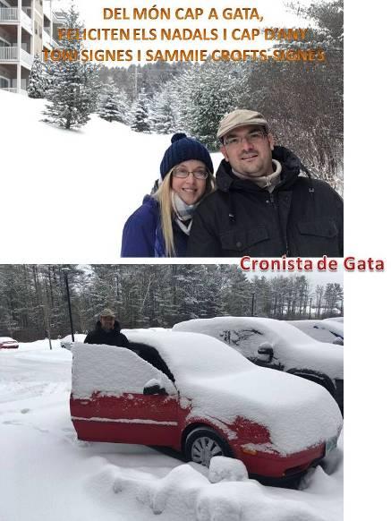 DEL MÓN CAP A GATAFELICITEN ELS NADALS (gaters des del nord-est de EE.UU.)