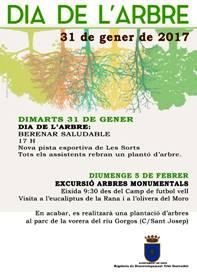 RECORDEM PER A HUI A GATA: BERENAR SALUDABLE (actes Dia de lArbre) i PLENARI