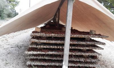 MÓN RURAL GATER. TEMPS REBOLICAT: POSEM LES VELES PER A LA PANSA