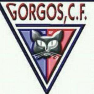 CAUEN TOTS ELS PRIMERS EQUIPS DEL GORGOS C.F.; DESCANSA EL CADET I ELS VETERANS SÓN LÍDERS