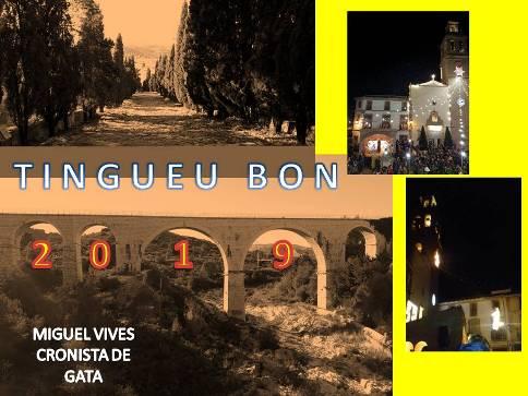 EL MEU DESIG PER A L'ANY 2019: CRONISTA DE GATA (Miguel Vives Signes)