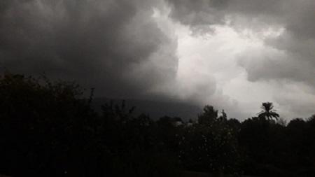 PRIMERA PLOGUDA DE L'ESTIU: A LA MATINADA, QUASI 20 LITRES A GATA