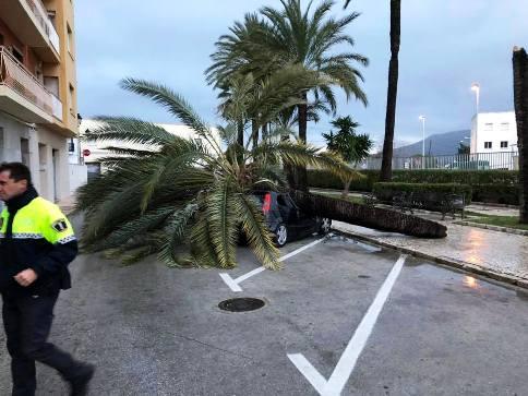 PRIMERES INCIDÈNCIES SERIES PEL VENT A GATA: Passeig d'Alacant i Plaça d'Espanya