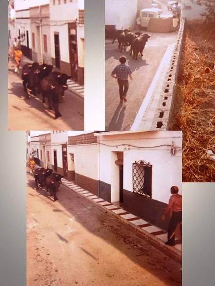 FOTOGRAFIES ANTIGUES (Gata en el record) (1.831, 1.832). ENTRADA DE BOUS, RAVAL