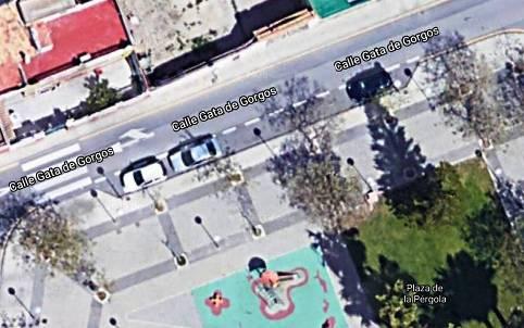 SABIEU.? QUE GATA FORMA PART DE LA GUIA DE CARRERS D'ALACANT