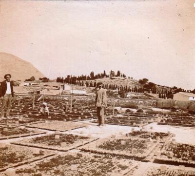 FOTOGRAFIES ANTIGUESI D'ABANS (Gata en el record) (1.845): ANTIGA VISTA, CASETES TOSSALET I CALVARI DE GATA, principis segle XX?