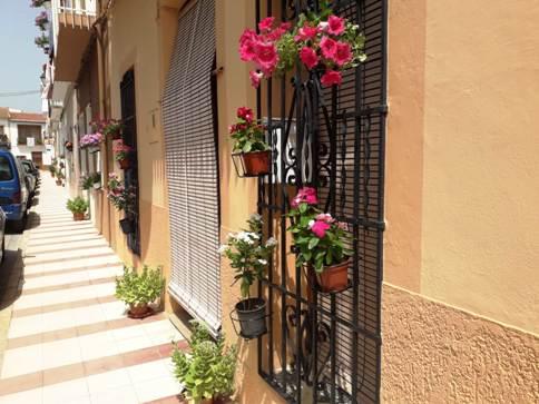 SENSE FESTES OFICIALSPERÒ EL VEÏNAT ADORNA CASES I CARRERS DE GATA (Covid-19)