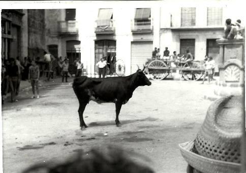 FOTOGRAFIES ANTIGUESI D'ABANS (Gata en el record) -1.862-: VESPRADA DE VAQUES, PLAÇA VELLA. *FOTOS DE FESTES*