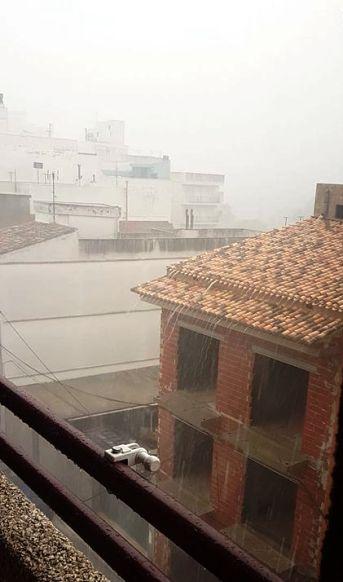 FINALS D'AGOST. GATA RECULL 50 LITRES A LA TORMENTA DEL DISSABTE 29. L'última important, el 7 de juny amb 12 litres