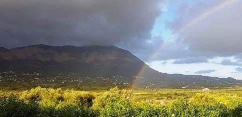 GATA RECULL 10 LITRES (MM.) EN DOS DIES