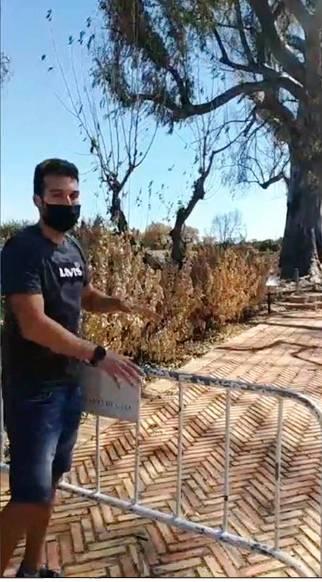 LEUCALIPTUS MONUMENTAL DE LA RANA, QUE VA PARTIR LINCENDI EL 15 DAGOST, SERÀ CUIDAT I CONTROLAT PER A QUE BROTE MÉS I SEGUIXCA EL SEU CAMÍ. LAJUNTAMENT I ELS TÈCNICS VALOREN COM ESTÀ LARBRE CENTENARI