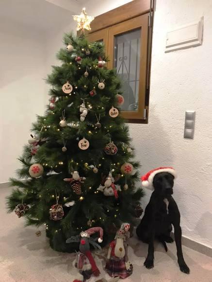 TEMPS DE BETLEMS, ARBRES, LLUMS I DECORACIÓ DEL NADAL. Enguany (Nadal del COVID19) amb més il·lusió que mai