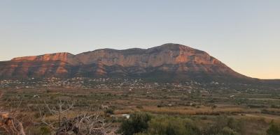 EL GUARDIÀ DEL MONTGÓ: HUI DIA RAS I MOLT GELAT. JA ES VEU TOT