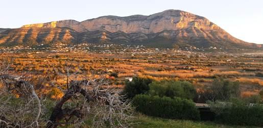 EL GUARDIÀ DEL MONTGÓ: FA BON TEMPS, DIA ASSOLEJAT