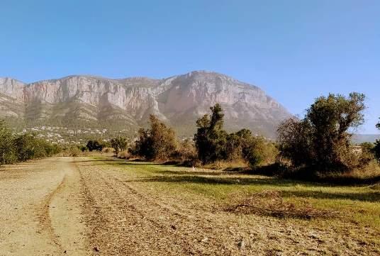 EL GUARDIÀ DEL MONTGÓ: ELS BANCALS DE LES PUNTES MIREN A LA GRAN MUNTANYA. Foto Sally Merret
