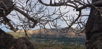 EL GUARDIÀ DEL MONTGÓ: PER MIG DE LES BRANQUES ADORMIDES