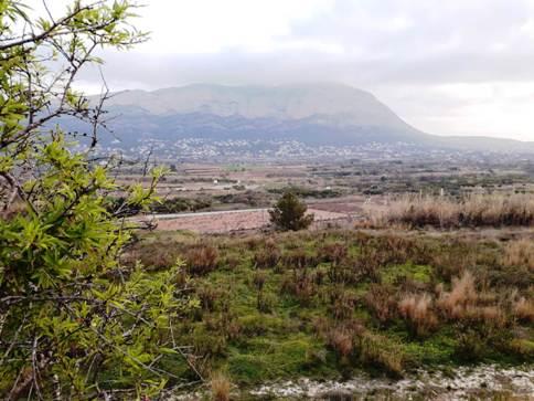 EL GUARDIÀ DEL MONTGÓ: Febrer, núvols, núvols i més núvolsperò sense ploure