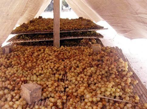 EL VELL COSTUM AGRÍCOLA DE L'ESCALDÀ: 1.- EMPILAR I POSAR VELES