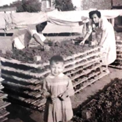 FOTOGRAFIES ANTIGUES (Gata en el record) (1.880) ESCALDONS A GATA PER MEITAT DEL SEGLE XX