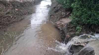 LA TORMENTA DEL FINAL DE L'ESTIU DEIXA AL VOLTANT DE 100 LITRES EN GATA. Ahir dimars quan més va ploure
