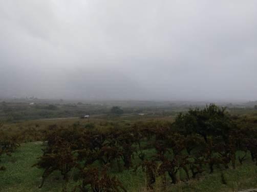 LA BORRASCA DEIXA JA MÉS DE 130 LITRES A GATA I CONTINUA PLOVENT HUI DISSABTE. Sols hui 66 litres ja