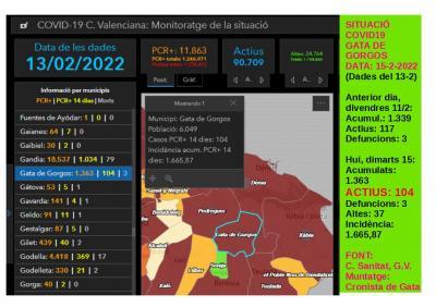 COVID19, GATA: ANEM A LA BAIXA. 24 NOUS CASOS. ACTIUS, ENCARA 104. INCIDÈNCIA, 1.665,87