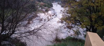 PUJA MOLT CONSIDERABLEMENT EL CABDAL DEL RIU GORGOS AL SEU PAS PER GATA: DOCUMENT GRÀFIC I DE VÍDEOS (7 MATÍ, 24/3). 7é dia de riu al terme, 3r de la segona riuada