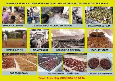 GATA, AGOST, TEMPS DESCALDAR. Vocabulari del vell costum agrícola. Que la joventut ho conega GATA, AGOST, ESCALDAR, PANSASón paraules de l’estiu que tots els gaters deuríem de reivindicar, que la joventut ho conega, que no es perda. Si encara algunes fam