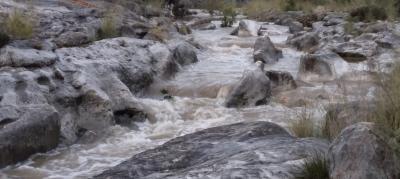 HA VINGUT EL RIU !!. UNA MITJA RIUADETA QUE DURARÀ HUI TOT EL DIA. L'última vegada va ser el 6 d'abril. Aquest any, 4 vegades. A Gata es van mesurar 120 litres aquesta ploguda