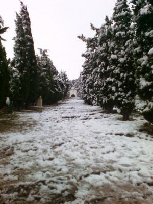 HISTÒRIA LOCAL: EL PASSAT MÉS RECENT, HUI 18 DE GENER FA 6 ANYS DE LA GRAN NEVADA. La del 12 de febrer de 1983 farà 40 anys