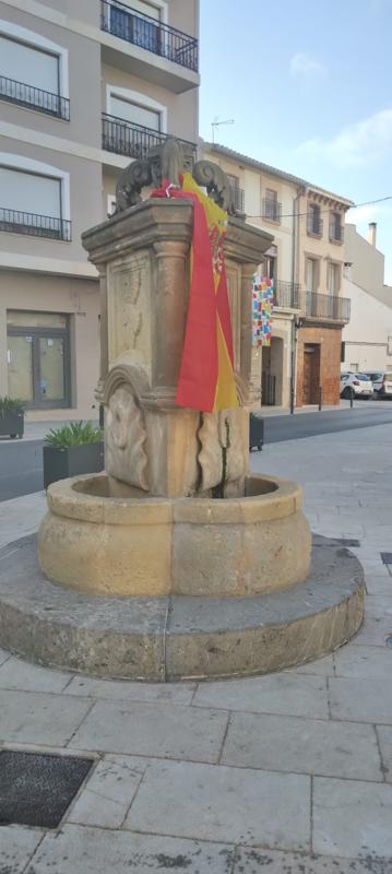 IMATGES CURIOSES. LA FONT MÉS FUTBOLERA. GATA TAMBÉ CELEBRA EL PAS A LA FINAL DE LA SELECCIÓ