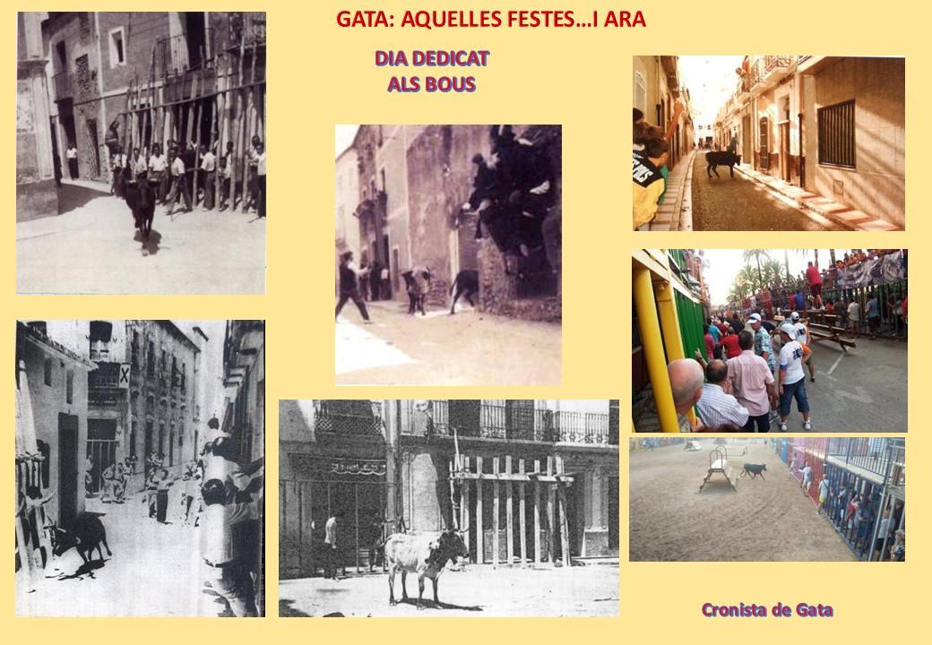 GATA, HISTÒRIA: AQUELLES FESTES D'ABANS...Dia dedicat al bou