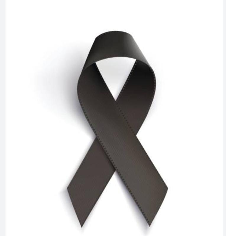 LES BANDERES OFICIALS ONEGEN JA A MIG PAL PEL CONDOL DEL VEÍ DEL POBLE DAVID LLEDÓ CASELLES